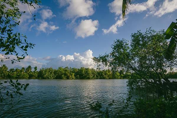 欧冠焦点战 ｜ 巴萨对阵巴萨，看台反应太真实，约基奇引发讨论，相关页面被频繁打开